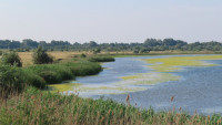 Belo Jezero Fish Farm and Surroundings