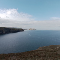 Mwnt