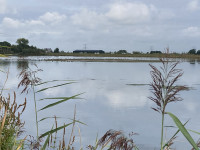 Hardenhoek -  Biesbosch National Park