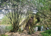 Chimney Meadows