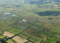 Cors Ddyga and Malltraeth Marsh