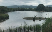 Llyn Coed y Dinas