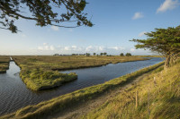 Polder de Sébastopol