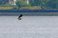 Sungei Buloh Wetland Reserve