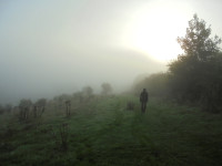 Steyning Downland Scheme