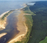 Culbin Sands RSPB Reserve