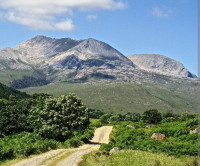 Beinn Eighe NNR