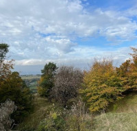 Painswick Beacon