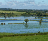 Walmore Common