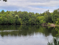 Doune Ponds