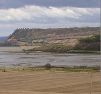 Munlochy Bay RSPB