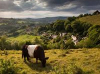 Minchinhampton and Rodborough Commons