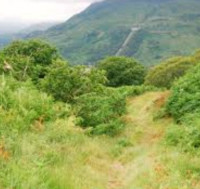 Inversnaid RSPB Reserve