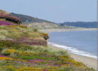 Dunwich Heath and Beach