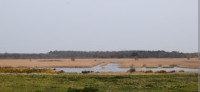 RSPB Dingle Marshes