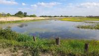 Čenta Fish Farm