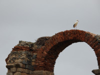 Acueducto Romano de Los Milagros