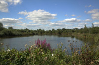 Molenkade en De Waai