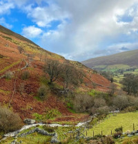 Berwyn Mountains NNR