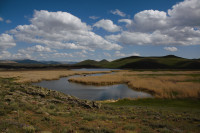 Tendürek Marshes