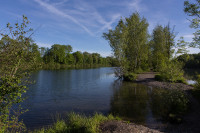 Alter Rhein Diepoldsau