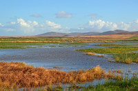 RSPB Loch Gruinart