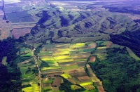 Deliblato Sands Reserve – Šušara Area