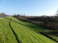 Nieuwe Zuiderlingedijk