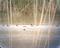 Lake Norşin