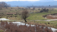 Nadel Channel near Omoljica