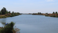 Mužlja Reeds and Sands