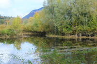 Marais de Poisy