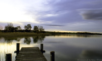 Pfäffikersee