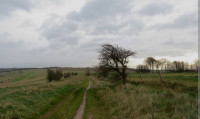 Sparsholt Ridgeway