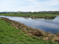Hedgeley Gravel Pits