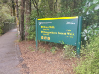 Mangawhero Forest Walk