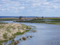 Polder Północny Część Zachodnia