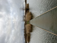 Jantjesplaat - Biesbosch National Park