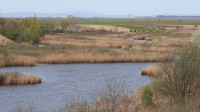 Kraljevac Nature Reserve