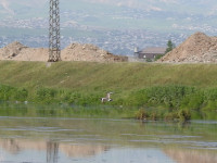 Dushanbe Water Treatment Impoundments