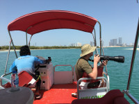 Mangrove National Park