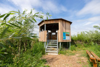 Vogelkijkhut Rietland