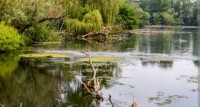 Paxton Pits