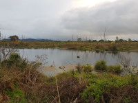 Grovetown Lagoon