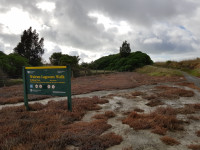 Wairau Lagoons Walkway