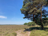 Zuid Ginkelse Heide