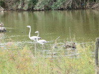 Lagunas de Camino Colorado