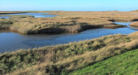 Cley Marshes Nature Reserve