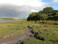 Teifi Marshes
