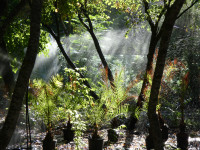 Parque de Santa Teresa